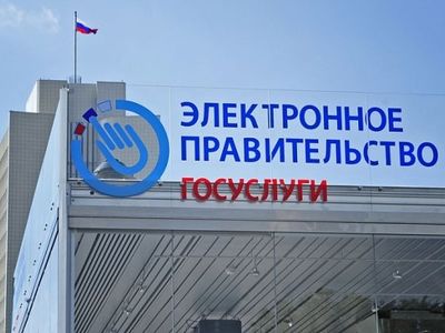 Две трети южноуральцев пользуются порталом госуслуг