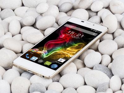 Fly поднялась на второе место по продажам смартфонов в России