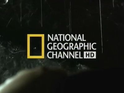 «Ростелеком» совместно с телеканалом «NGW HD» проводит акцию для любителей дикой природы