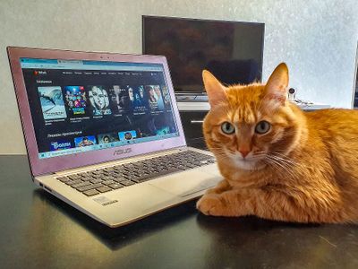 «Кинопоиск» и IVI стали самыми популярными онлайн-кинотеатрами в России по итогам 2021 года