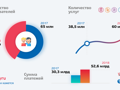 За 2018 год число пользователей портала Госуслуг возросло на 30%