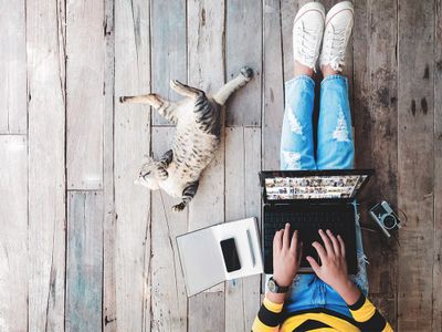 «АльфаСтрахование» при поддержке Билайн запустила услугу страхования домашних животных «Зоополис Лайт»