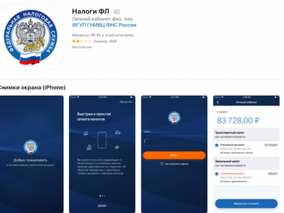В России запустят мобильное приложение для уплаты налогов без ведения отчетности