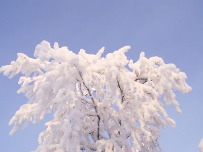 Возобновилось строительство «Северного оптического потока» после краткого перерыва, связанного с морозами