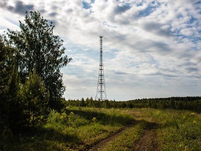 Видеонаблюдение «Ростелекома» помогло предотвратить около 70 пожаров в лесах Пермского края в 2018 году