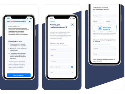 Федеральная платформа выдачи цифровых пропусков будет внедрена в 21 регионе России