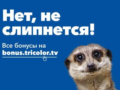 «Триколор» объявил о запуске собственной бонусной программы для клиентов