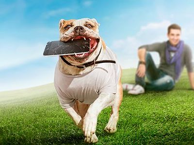 «МегаФон» запустил услугу страхования смартфонов