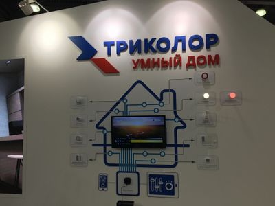 15 уголовных дел: «Триколор» рассказал об антипиратской деятельности в 2019 году