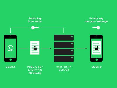 WhatsApp обвинили в намеренном перехвате сообщений пользователей